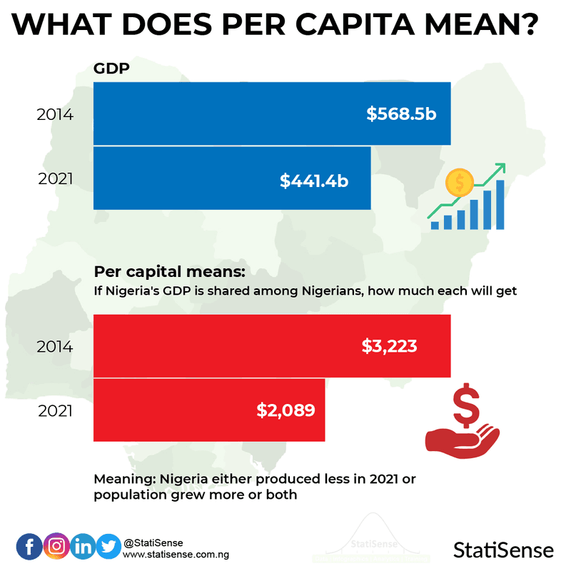 What Does Per Capita Mean • Statisense